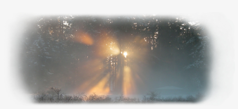 Grief And Loss, Expressive Therapy Methods To Help - Sunlight, transparent png download