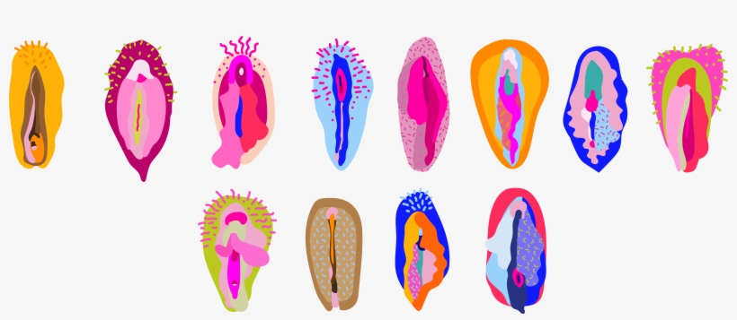 Because The More You Know, The Less There Is To Fear, transparent png download