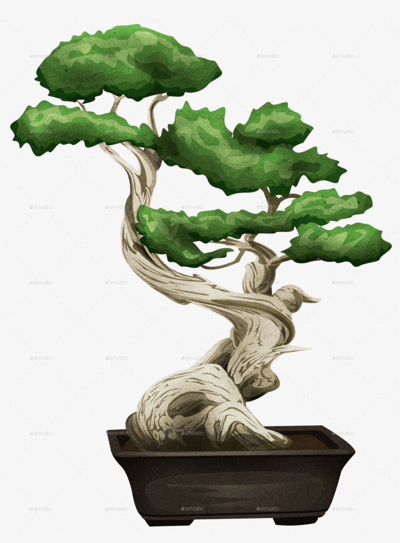 Bonsai Png, transparent png download