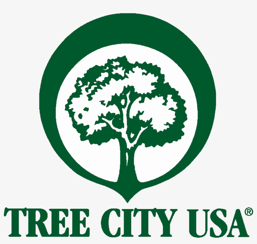 Tree Board Or Department, A Tree Care Ordinance, (3) - Tree City Usa Logo, transparent png download