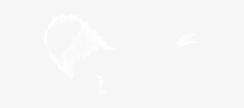 Johns Hopkins White Logo, transparent png download