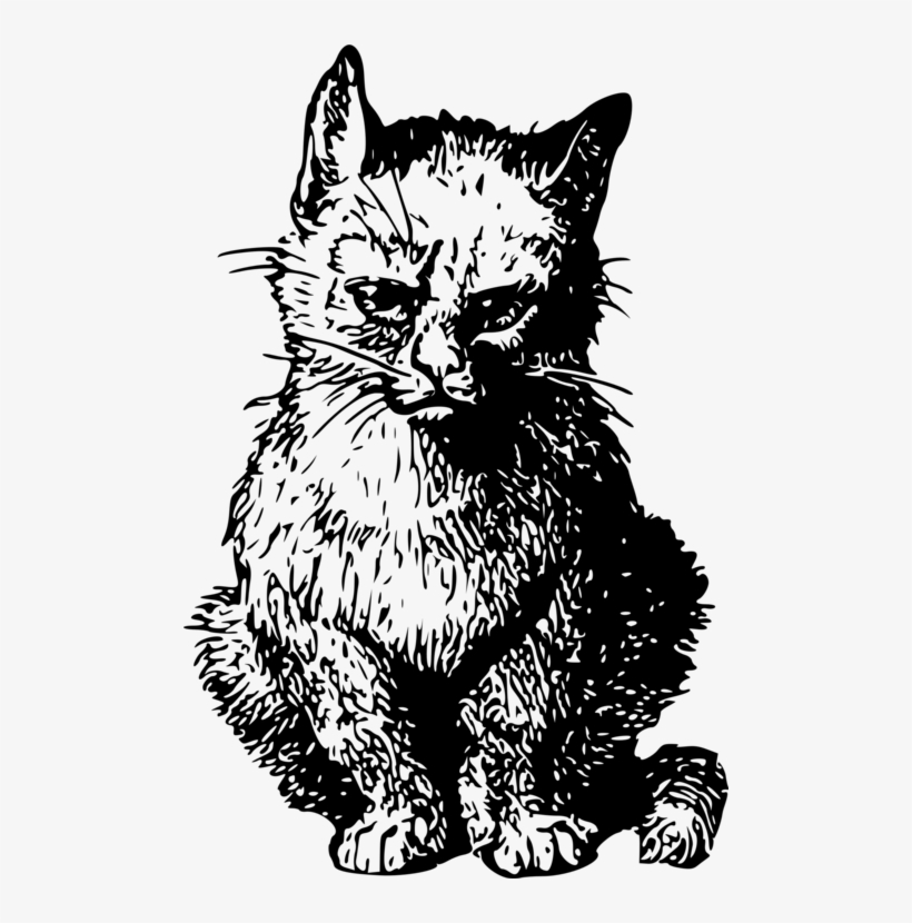 Kitten Wildcat Whiskers Domestic Short-haired Cat - Cat, transparent png download