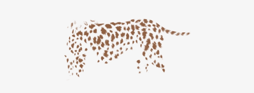 African Leopard, transparent png download