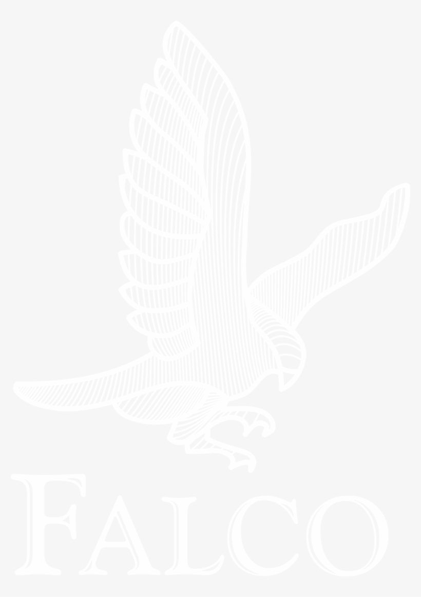 Falco Archery Usa - Red Shouldered Hawk, transparent png download