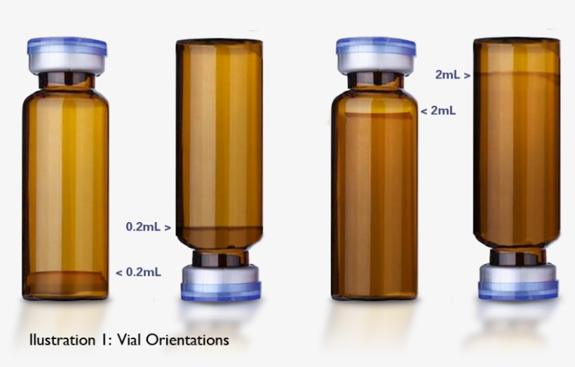 Based On The Results Of This Experiment, We Can Conclude - Water Bottle, transparent png download