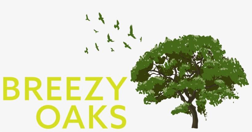 Potluck Dinner - Breezy Oaks Rv Park, transparent png download