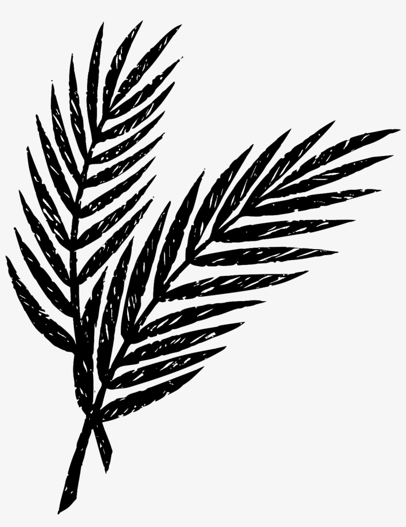 Holy Week Palm Leaves, transparent png download