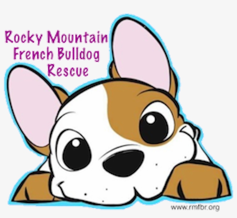 Rocky Mountain French Bulldog Rescue - French Bulldog, transparent png download