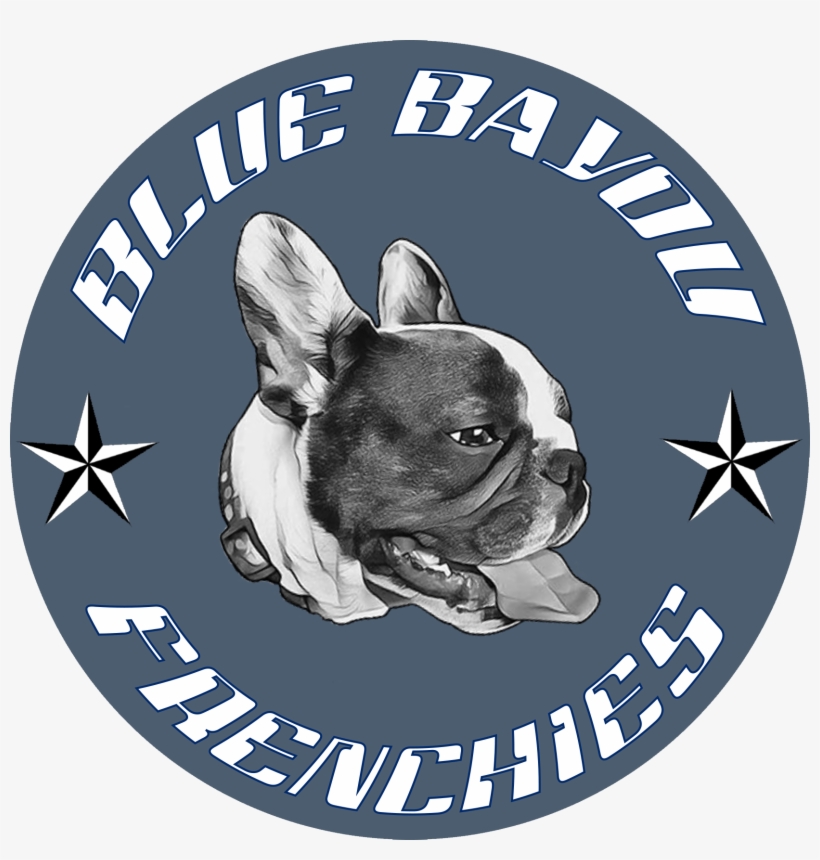 Investissement D Avenir, transparent png download