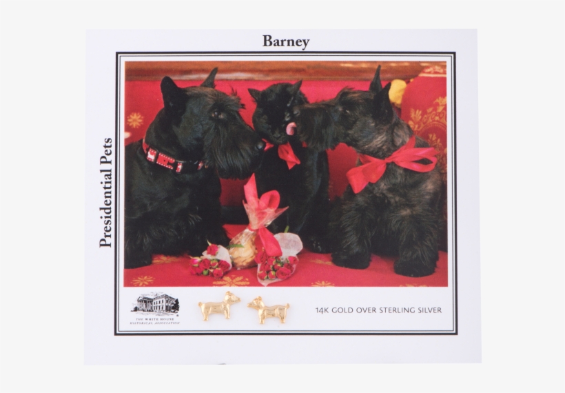 More Views - India, transparent png download