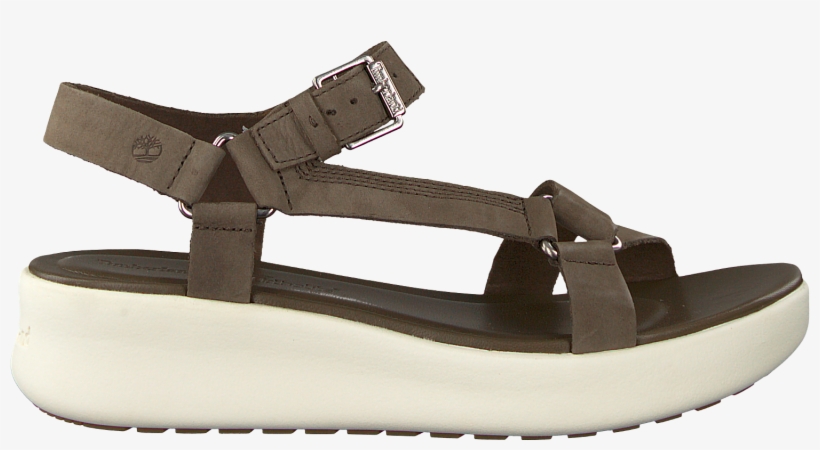 Green Timberland Sandals Los Angeles Wind Spo Womens - Sandal, transparent png download