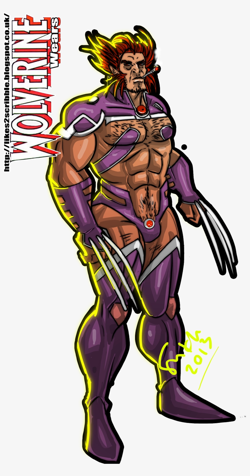 Wolverine Invisible Woman Costume Wolverine Robin Costume - Wolverine, transparent png download