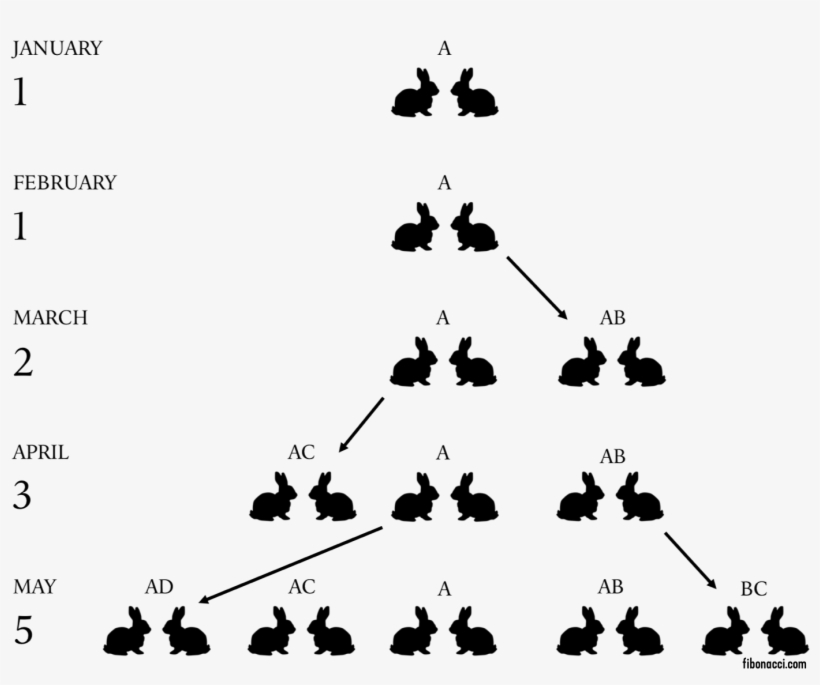 The Rabbit Problem - Silhouette, transparent png download