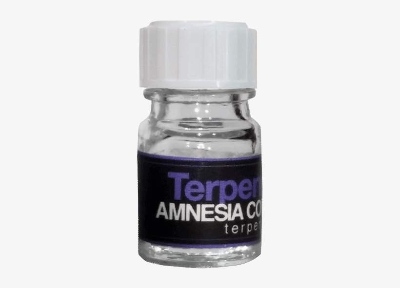Amnesia Core Cut - Cosmetics, transparent png download