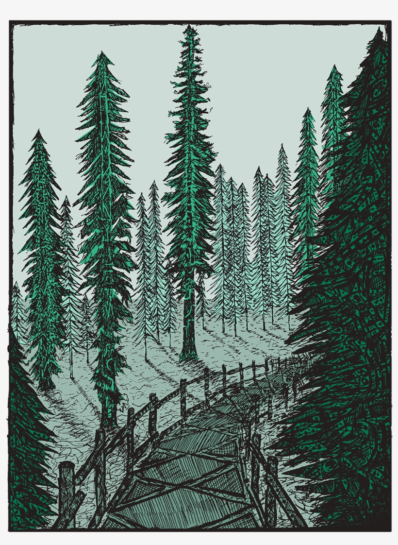 Redwood Grove, transparent png download