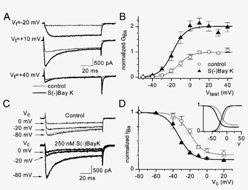 Effect Of S Bay K On Ba 2 Currents - Diagram, transparent png download