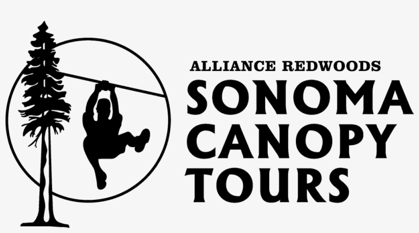 Sonoma Canopy Tours And Zipline Adventure Through Redwood - Illustration, transparent png download