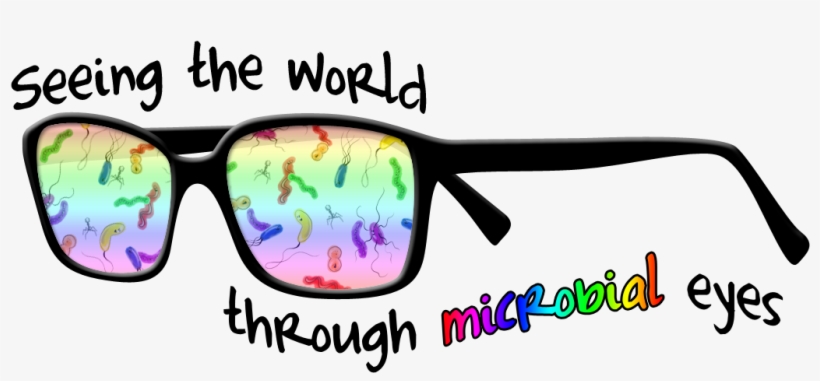 Since My Title Is "teaching Students To See Through - Camp Shira, transparent png download