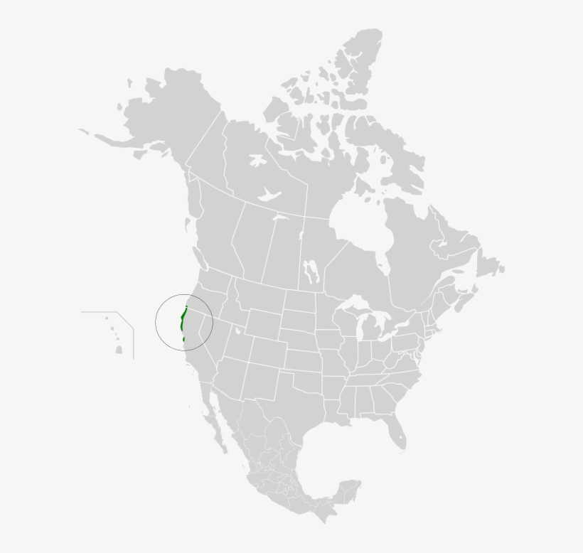Northern California Coastal Forests - Sonoran Desert On North America Map, transparent png download