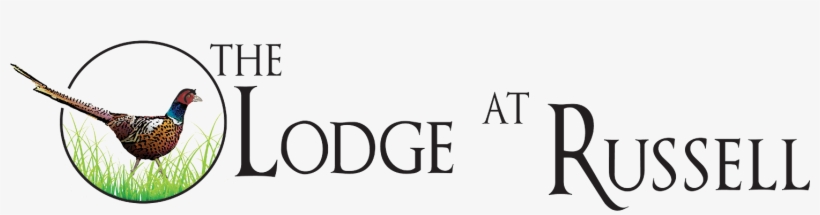 Skip Navigation Website Accessibility - The Lodge At Russell, transparent png download