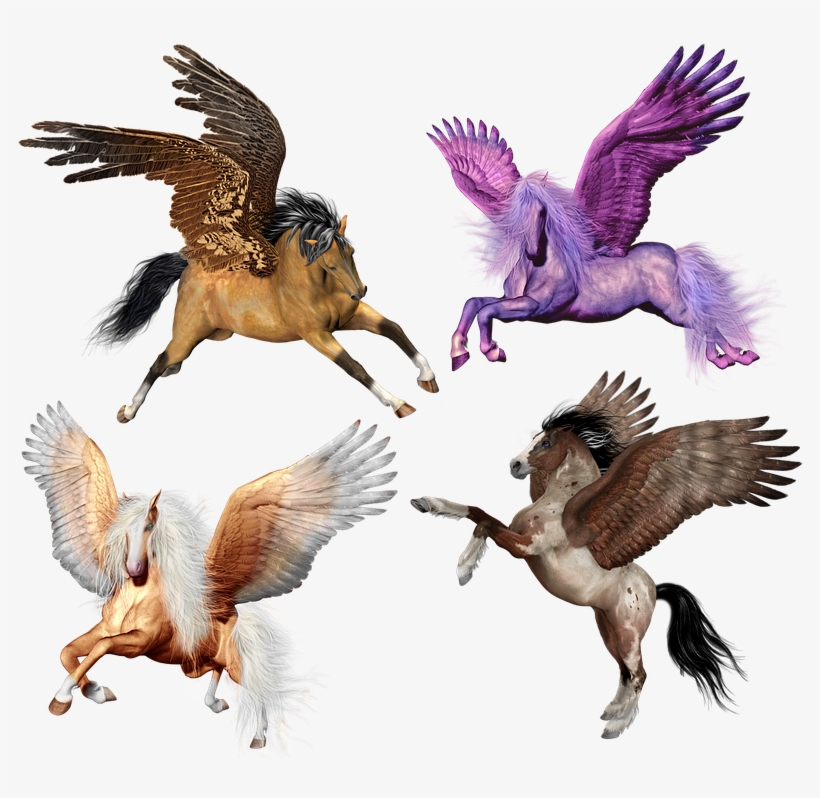 Pegasus Horse, transparent png download