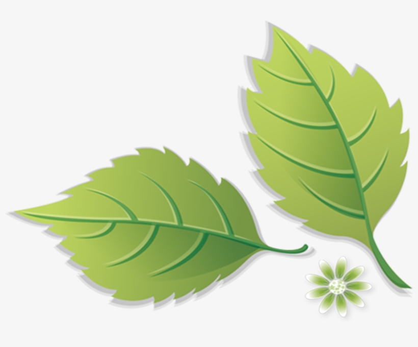 Call Jeff Ride Today About Your Lawn Care Services - Illustration, transparent png download