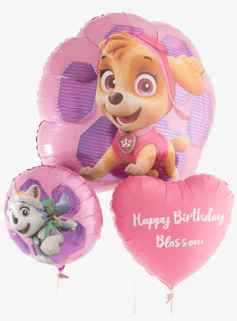 Paw Patrol Skye - Balloon, transparent png download