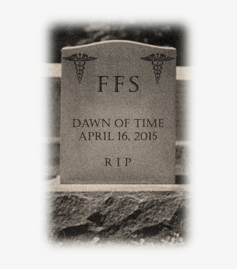 On April 16, 2015, President Obama Signed Into Law - Career Tombstone, transparent png download