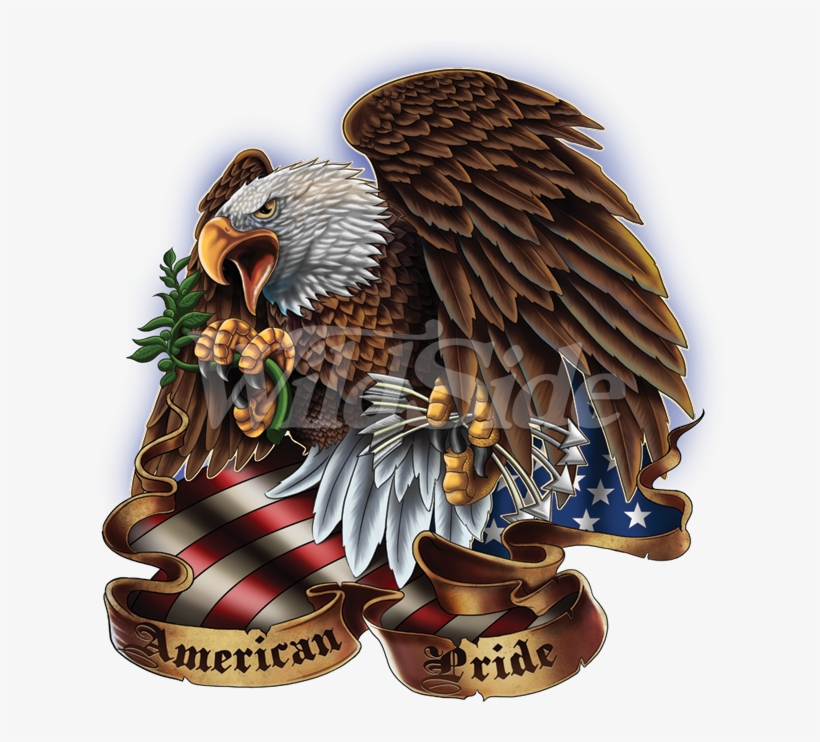 American Pride Eagle - Hawk, transparent png download