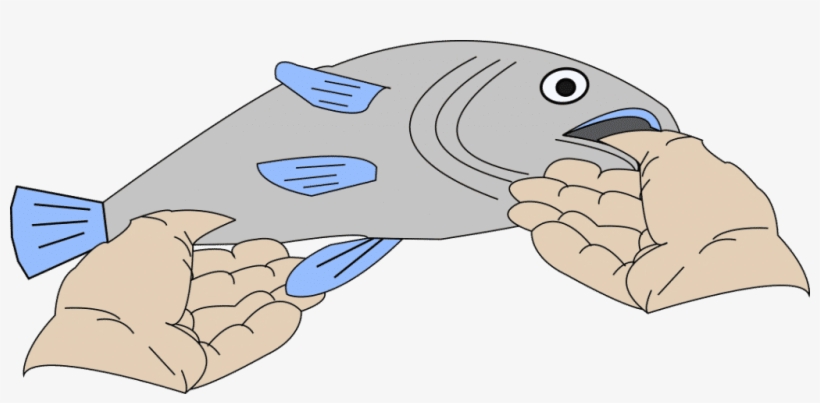 I Mainly Use The Horizontal Hold To Show Off Largemouth, transparent png download