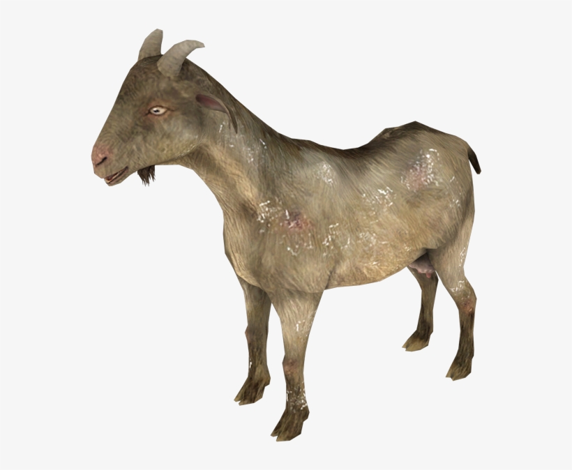 1 - Goat, transparent png download