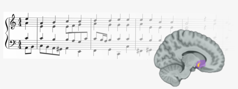 The Researchers Found That Reward Prediction Errors - Music, transparent png download