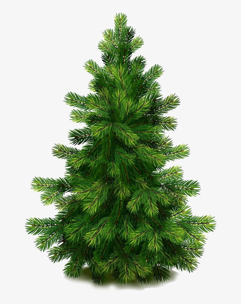 This Program Is Consistent With The Town's Sustainable - Fir Tree Png, transparent png download