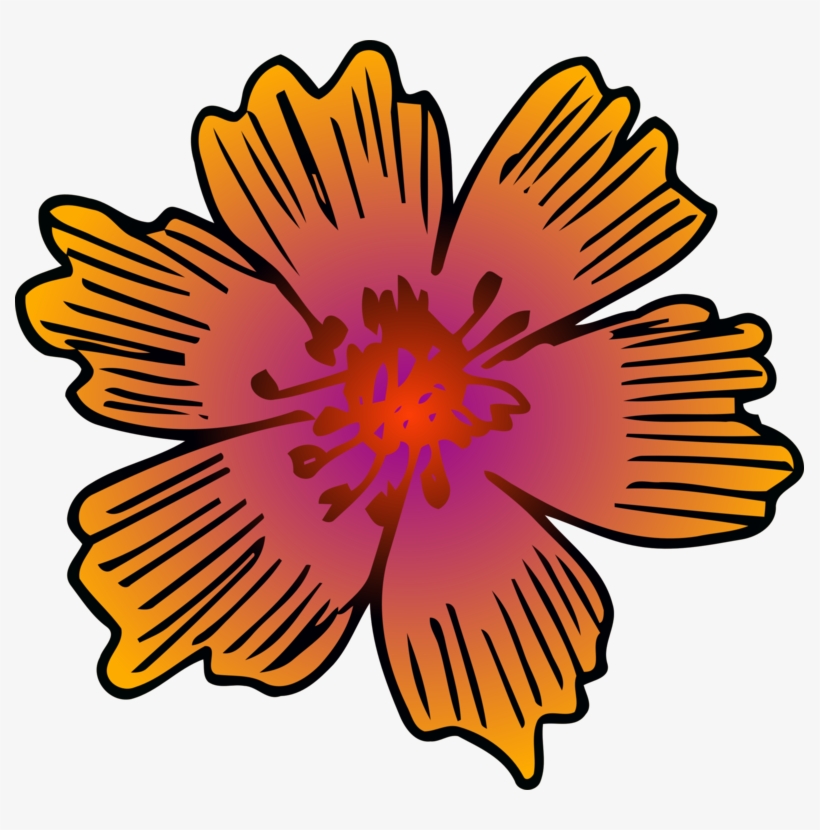Chrysanthemum Floral Design Flower Symmetry - Barberton Daisy, transparent png download