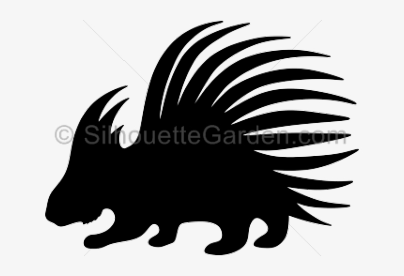 Porcupine Clipart Vector - Techos De Lamina, transparent png download