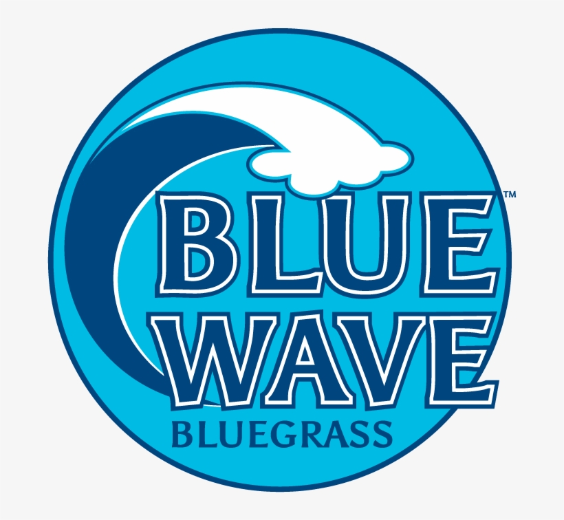 Blue Wave Is A Blend Of The Best Elite Kentucky Bluegrass - Dura Ace 7800, transparent png download