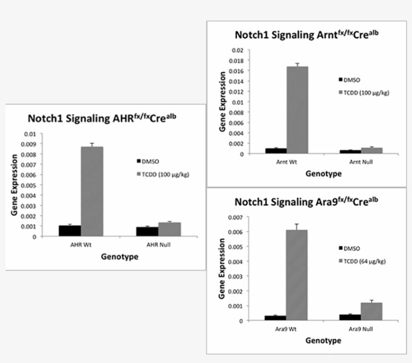 These Canonical Ahr Pathway Genes - Diagram, transparent png download