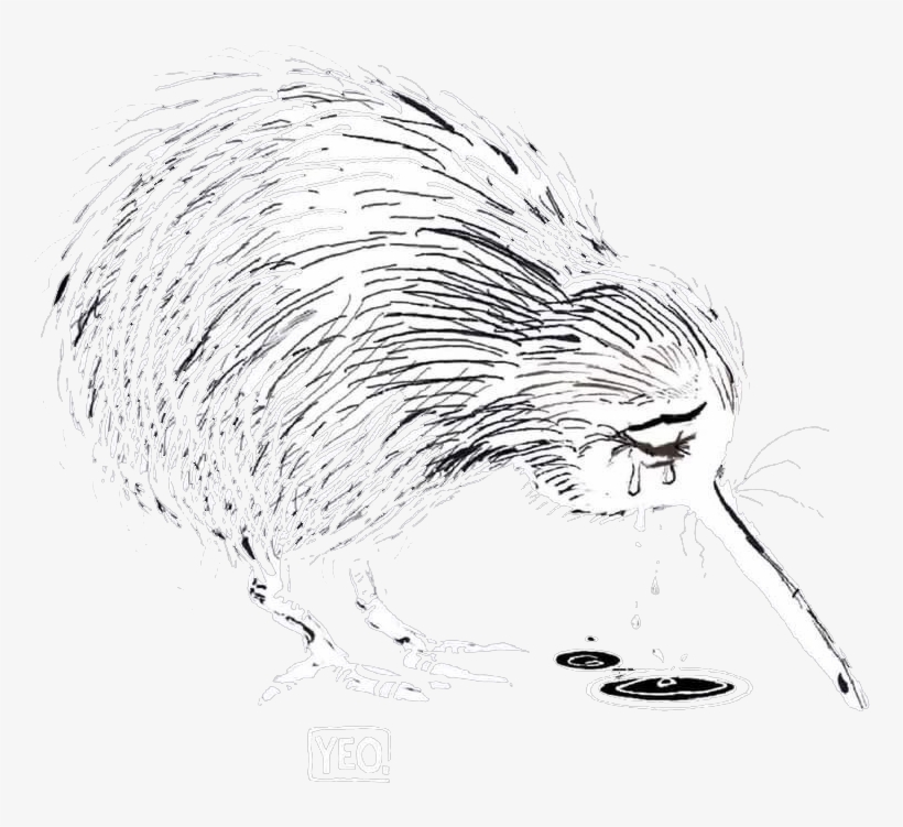 Home Image Courtesy Of Yeo Cartoons - Sketch, transparent png download