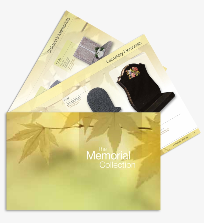 Established For Over 25 Years, Euro Trace Trading Limited - Maidenhair Tree, transparent png download