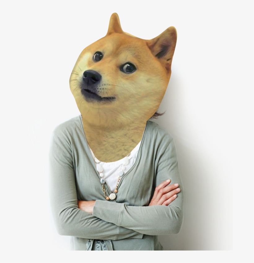 Satisfied Customer After Dogejoy Cleaning Services - Dentistry, transparent png download