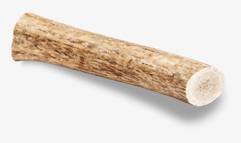 Medium Deer Antler - Lumber, transparent png download