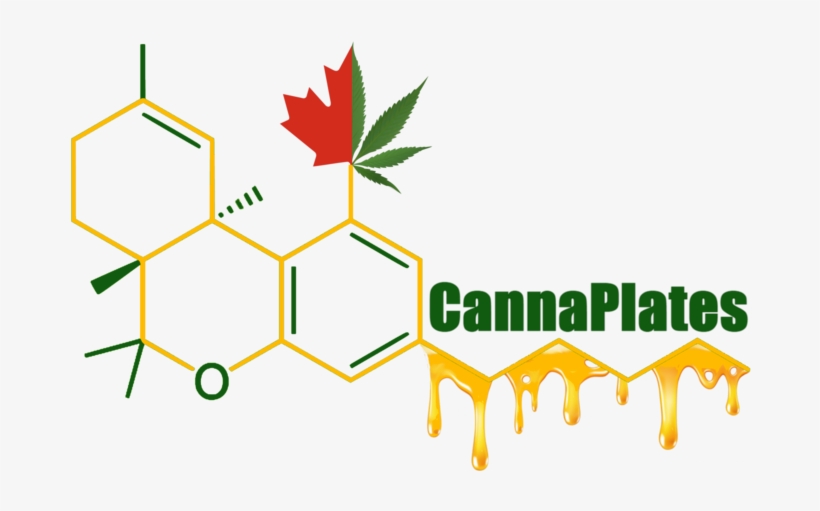 Submit - 28 December Congress, transparent png download