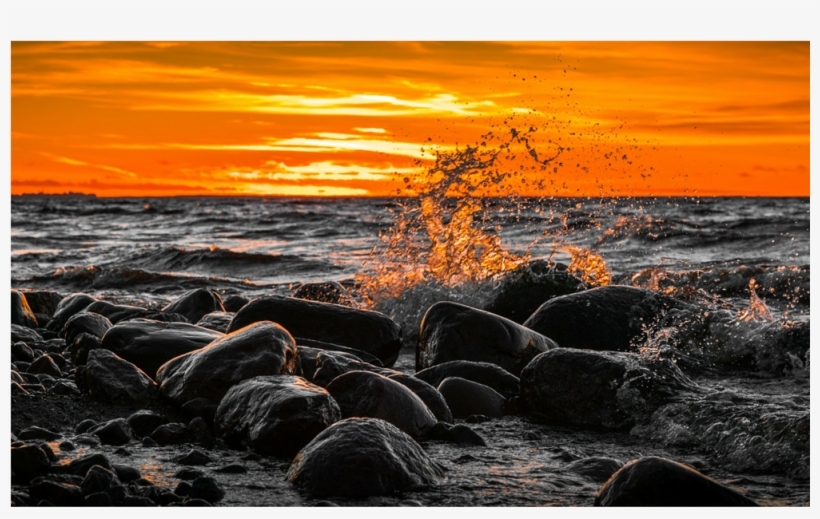 Score 50%, transparent png download