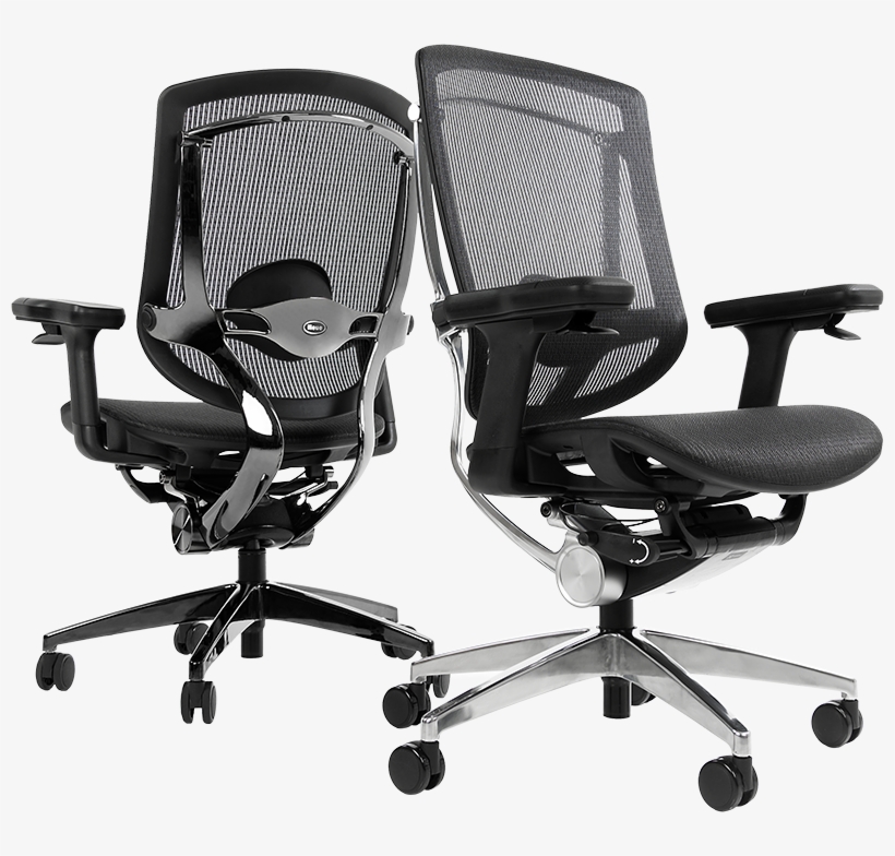 Neuechair™ - Neuechair ™, transparent png download