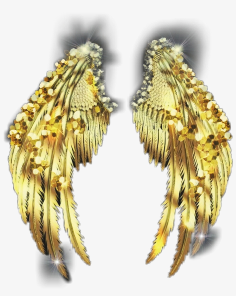 Wings Sticker - Earrings, transparent png download