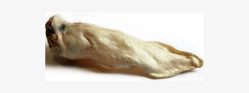 Home / Dog / Dog Treats / Jr Pet Products - Paw, transparent png download