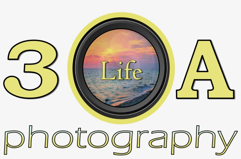 Paparazzi Logo Png, transparent png download