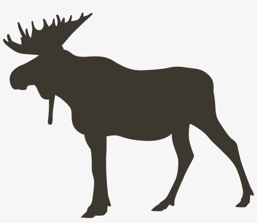 Moose, transparent png download