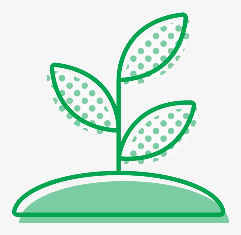Seedling, transparent png download