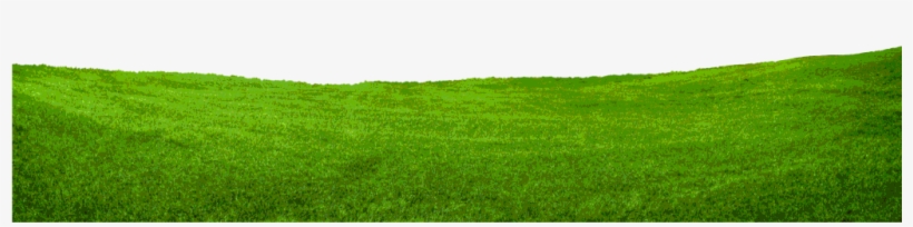 Pasto - Grass, transparent png download